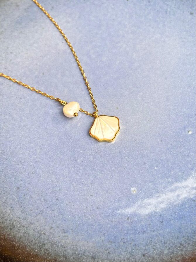 Shell Necklace