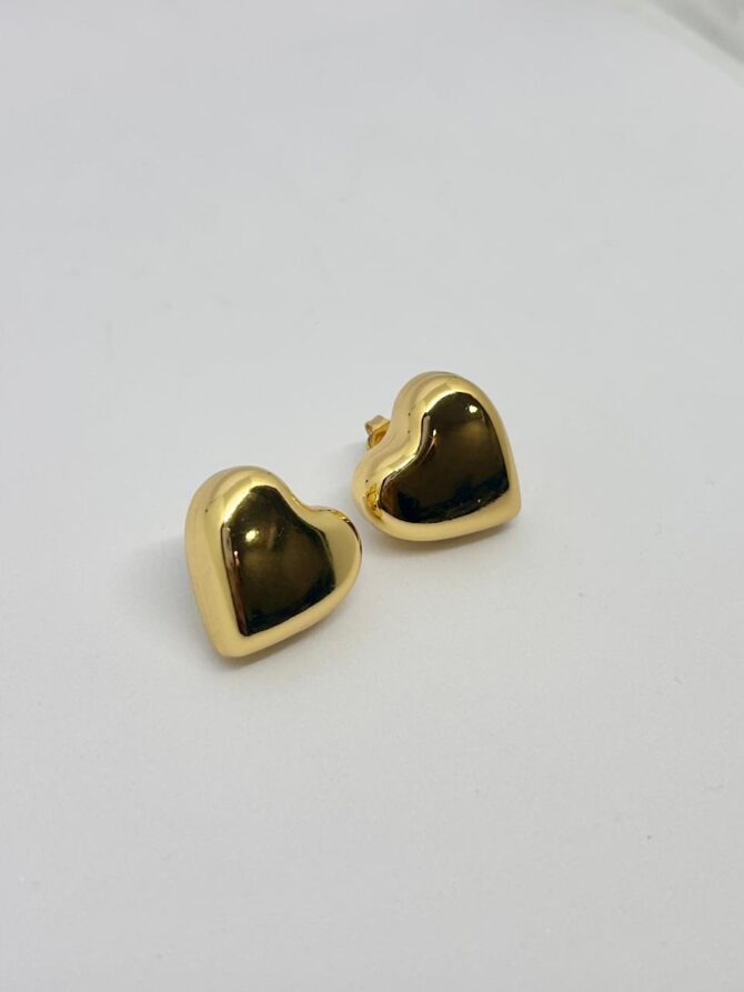 Heart earrings