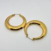 Crescent Hoop earrings