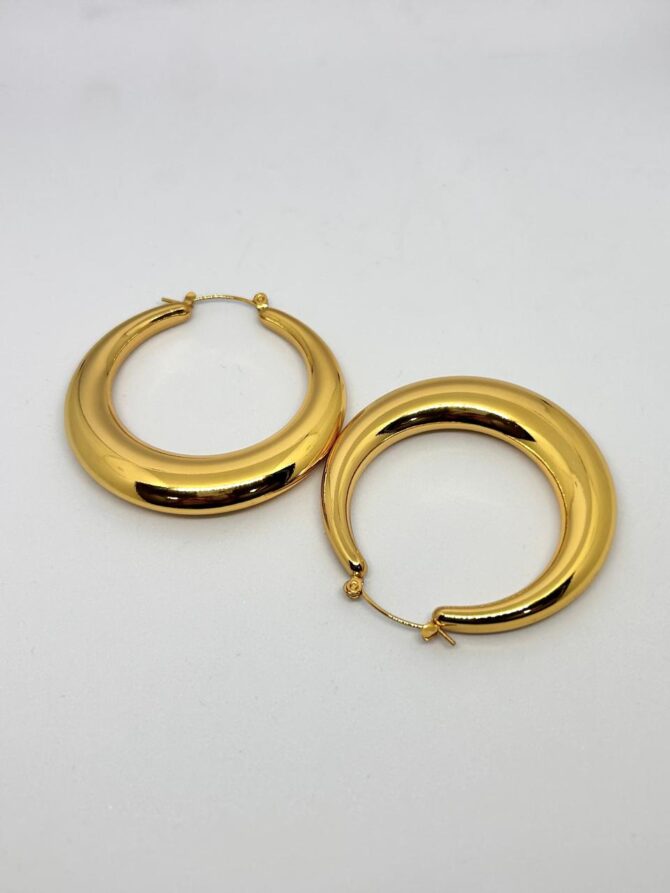 Crescent Hoop earrings